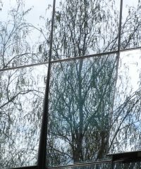 Νεκτάριος Ταμπάκης τζάμια Κρύσταλλα